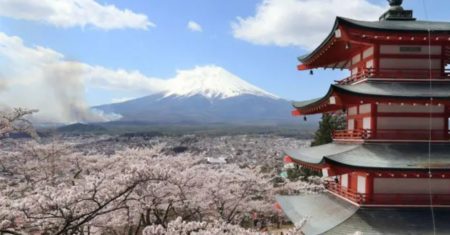 Cidade japonesa cancela festival das cerejeiras devido a comportamento inadequado de turistas
