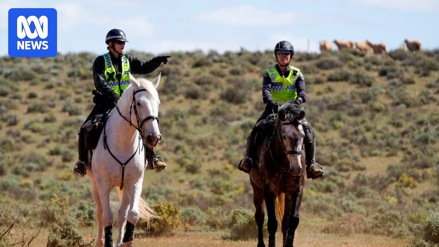 AI-Generated Images of Missing 4-Year-Old Gus Spark Legal Concerns Over Misinformation