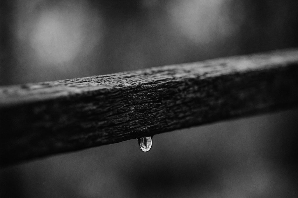 UK launches £1 billion FloodAction Coalition to turn natural flood management into investable asset class