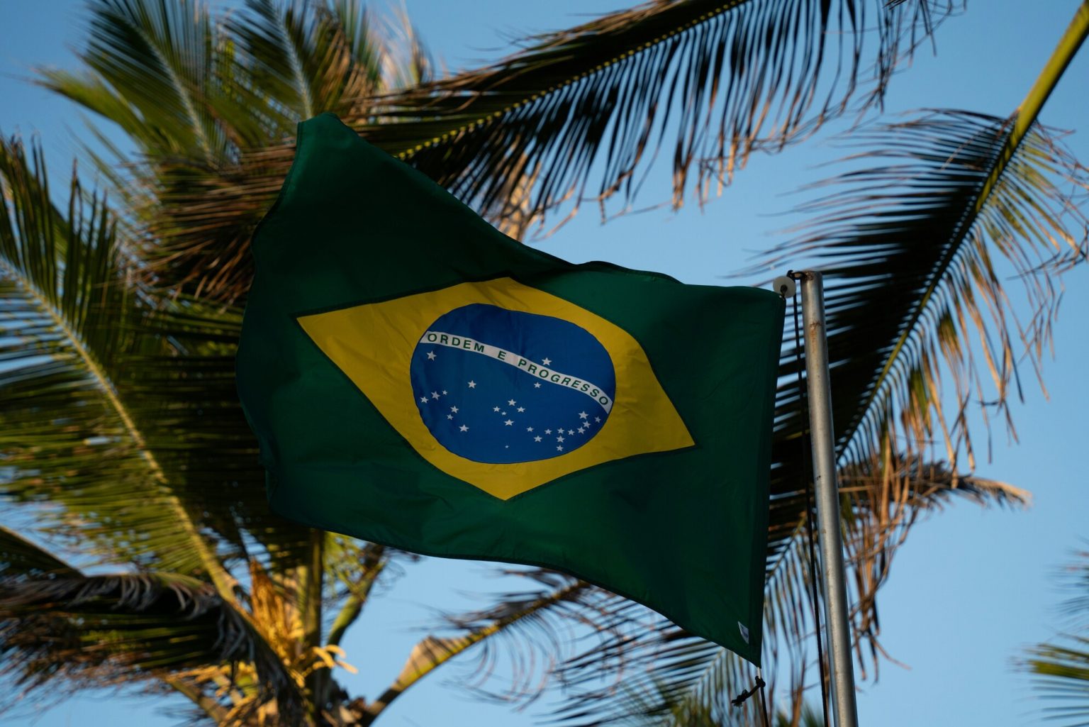 Viridis Mining & Minerals Advances Toward 2026 Production Readiness for Brazil’s Colossus Rare Earths Project
