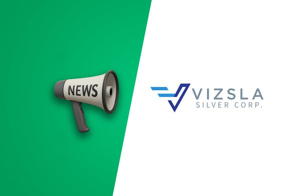 Vizsla Silver Strengthens Leadership with Eduardo Luna as Lead Director